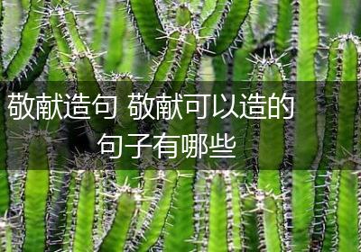 敬献造句 敬献可以造的句子有哪些