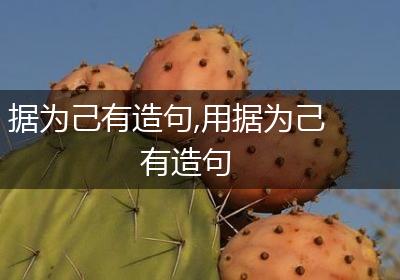 据为己有造句,用据为己有造句