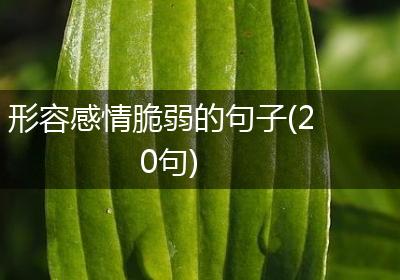 形容感情脆弱的句子(20句)