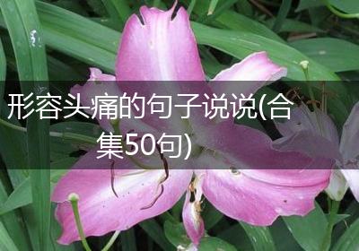 形容头痛的句子说说(合集50句)