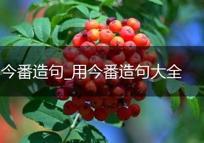 今番造句_用今番造句大全