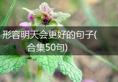 形容明天会更好的句子(合集50句)