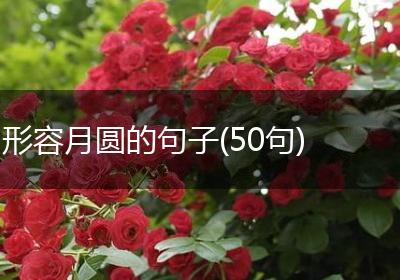 形容月圆的句子(50句)