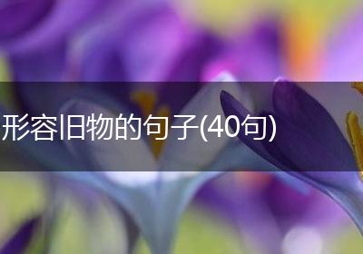 形容旧物的句子(40句)