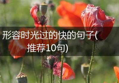 形容时光过的快的句子(推荐10句)