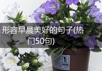 形容早晨美好的句子(热门50句)