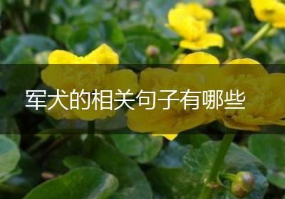 军犬的相关句子有哪些