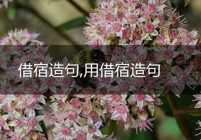 借宿造句,用借宿造句