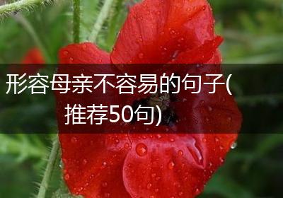 形容母亲不容易的句子(推荐50句)