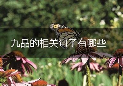九品的相关句子有哪些