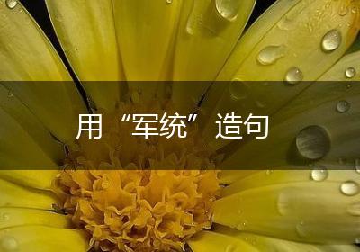 用“军统”造句