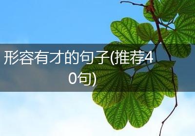 形容有才的句子(推荐40句)