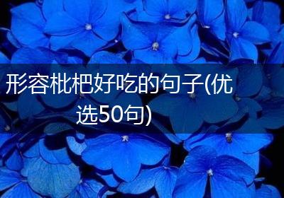 形容枇杷好吃的句子(优选50句)