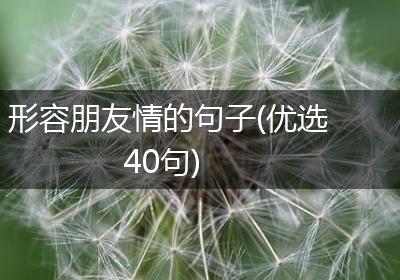 形容朋友情的句子(优选40句)