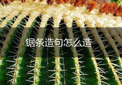 锯条造句怎么造