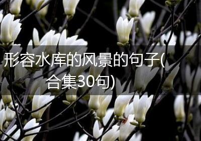 形容水库的风景的句子(合集30句)