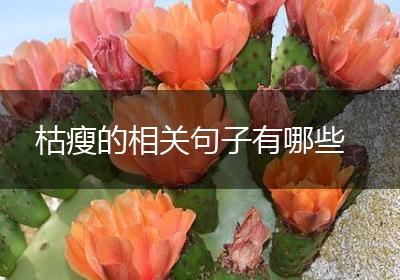 枯瘦的相关句子有哪些