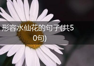 形容水仙花的句子(共50句)