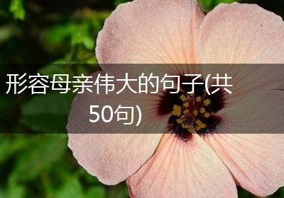 形容母亲伟大的句子(共50句)
