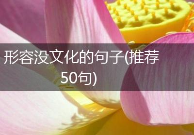 形容没文化的句子(推荐50句)