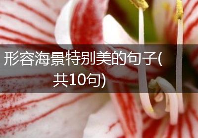 形容海景特别美的句子(共10句)