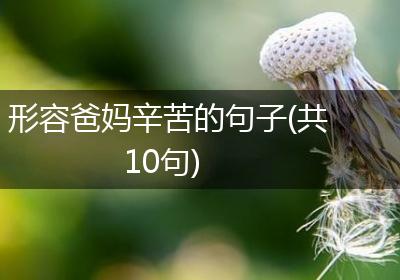 形容爸妈辛苦的句子(共10句)