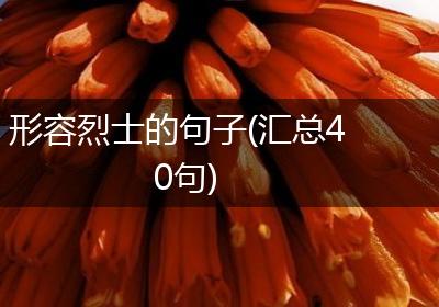 形容烈士的句子(汇总40句)