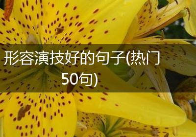 形容演技好的句子(热门50句)