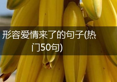 形容爱情来了的句子(热门50句)