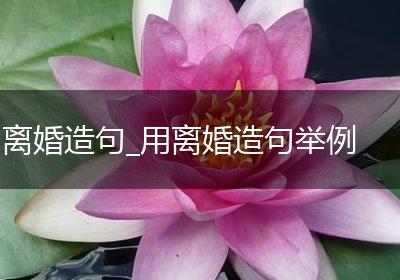 离婚造句_用离婚造句举例