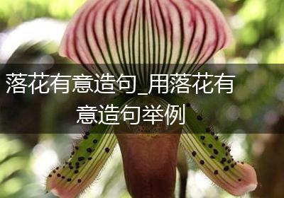 落花有意造句_用落花有意造句举例