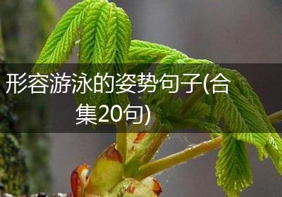 形容游泳的姿势句子(合集20句)