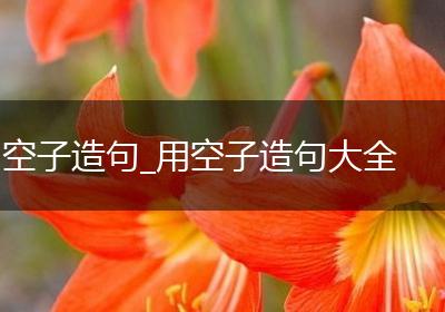 空子造句_用空子造句大全