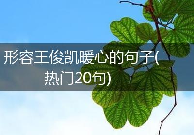 形容王俊凯暖心的句子(热门20句)