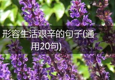 形容生活艰辛的句子(通用20句)