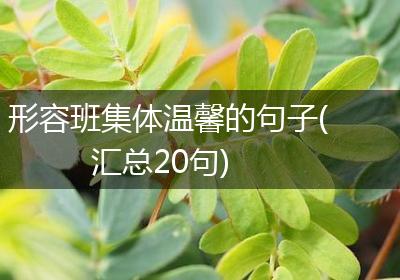形容班集体温馨的句子(汇总20句)
