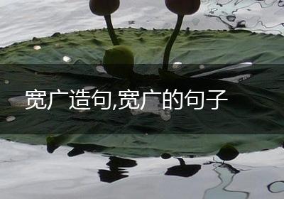 宽广造句,宽广的句子