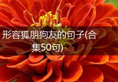 形容狐朋狗友的句子(合集50句)