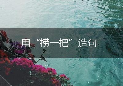 用“捞一把”造句