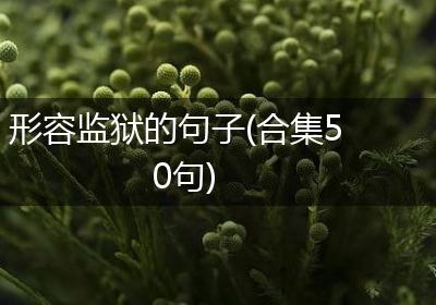 形容监狱的句子(合集50句)
