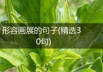 形容画展的句子(精选30句)