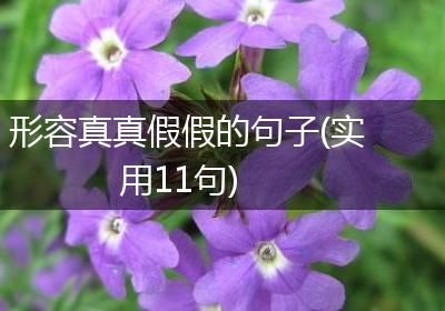 形容真真假假的句子(实用11句)