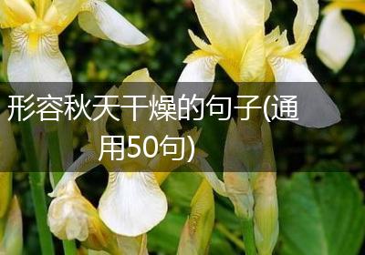 形容秋天干燥的句子(通用50句)