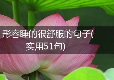 形容睡的很舒服的句子(实用51句)