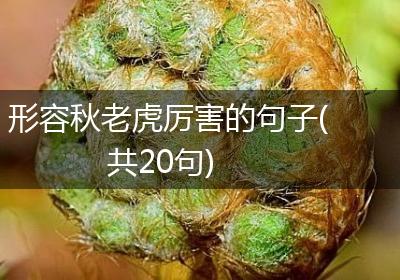 形容秋老虎厉害的句子(共20句)