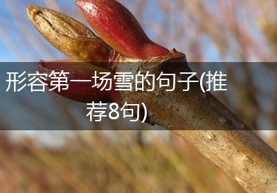 形容第一场雪的句子(推荐8句)