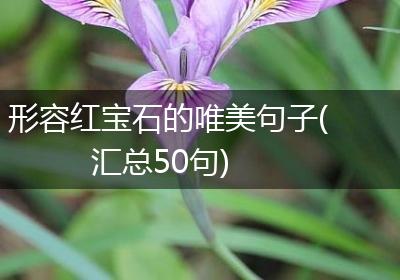 形容红宝石的唯美句子(汇总50句)