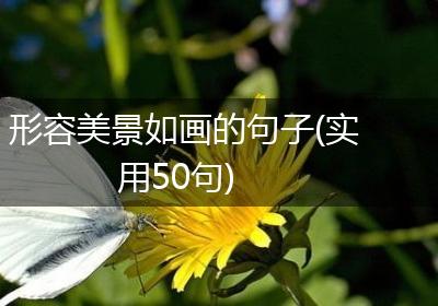 形容美景如画的句子(实用50句)