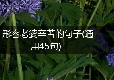 形容老婆辛苦的句子(通用45句)