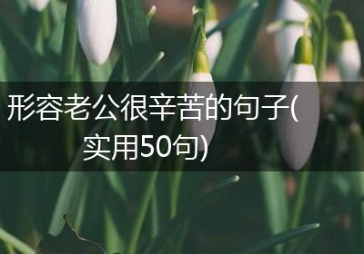 形容老公很辛苦的句子(实用50句)
